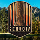 National Park Inspired Candle - Sequoia National Park